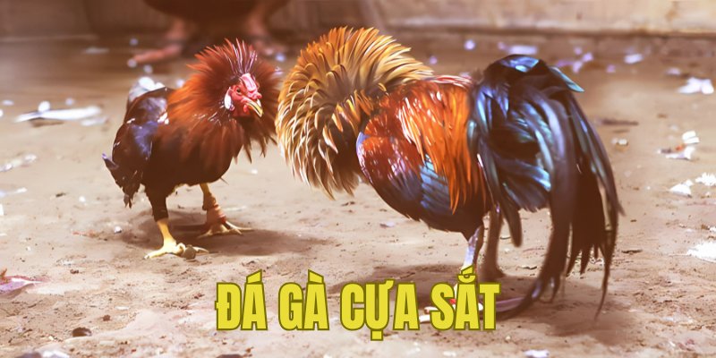 Banner www.phuongdongtech.com