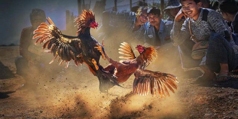 Banner www.phuongdongtech.com